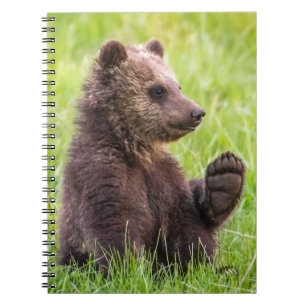 Cutest Baby Animals Brown Bear Cub Wave Notebook