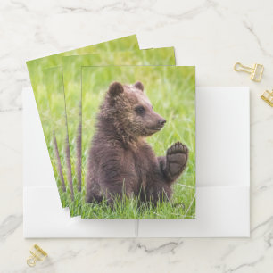 Cutest Baby Animals Brown Bear Cub Wave Pocket Folder