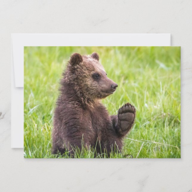 Cutest Baby Animals | Brown Bear Cub Wave Thank You Card (Front)