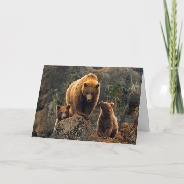 Cutest Baby Animals | Brown Bear Family Card (Front)
