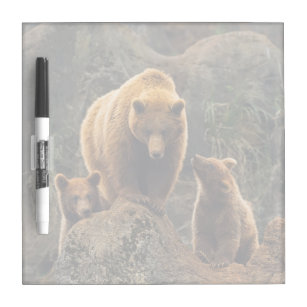 Cutest Baby Animals   Brown Bear Family Dry Erase Board