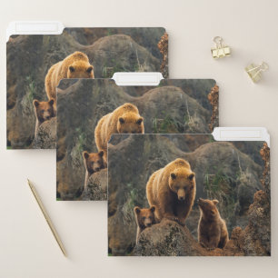 Cutest Baby Animals Brown Bear Family File Folder