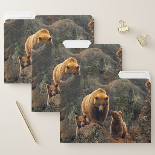Cutest Baby Animals | Brown Bear Family File Folder (Set)