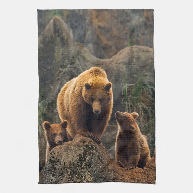 Cutest Baby Animals | Brown Bear Family Kitchen Towel (Vertical)