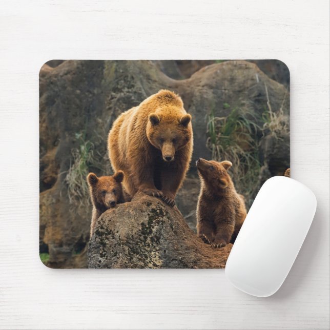 Cutest Baby Animals | Brown Bear Family Mouse Pad (With Mouse)