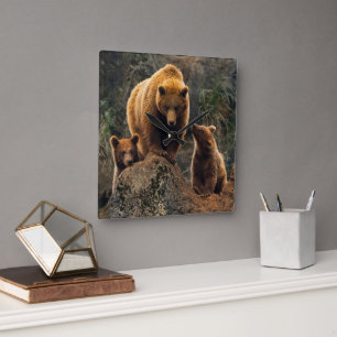 Cutest Baby Animals   Brown Bear Family Square Wall Clock