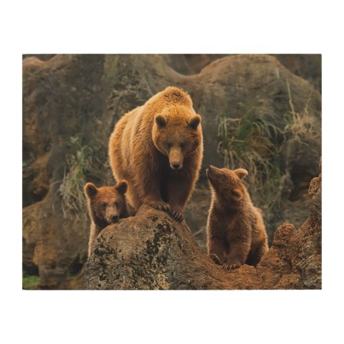 Cutest Baby Animals  Brown Bear Family Wood Wall Art