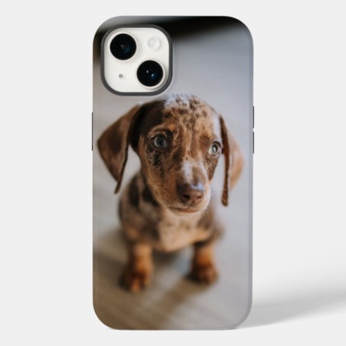 Cutest Baby Animals  Brown Dachshund Puppy Case_Mate iPhone 14 Case