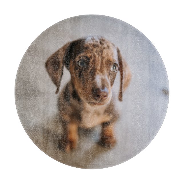 Cutest Baby Animals | Brown Dachshund Puppy Cutting Board (Front)