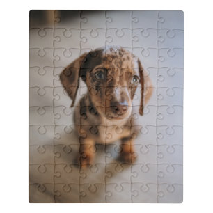 Cutest Baby Animals Brown Dachshund Puppy Jigsaw Puzzle