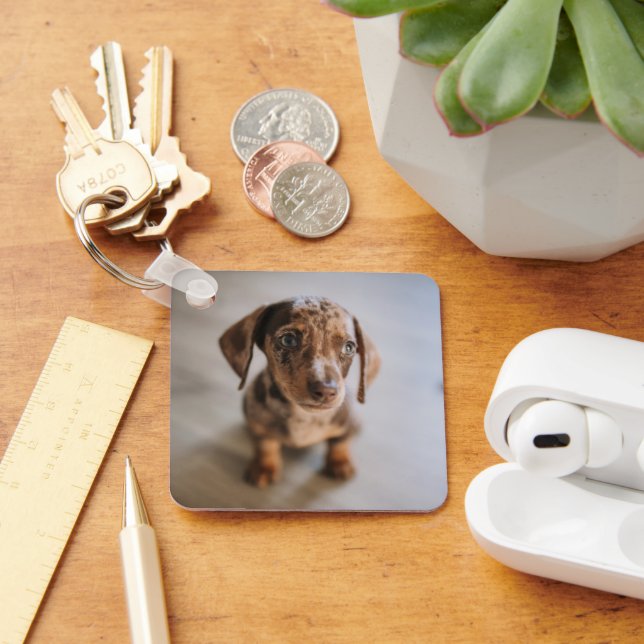 Cutest Baby Animals | Brown Dachshund Puppy Keychain (Desk)