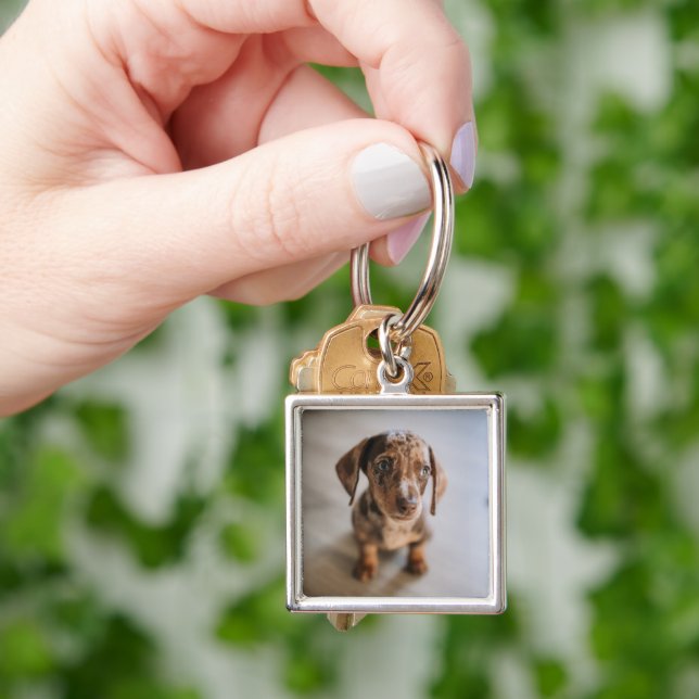 Cutest Baby Animals | Brown Dachshund Puppy Keychain (Hand)