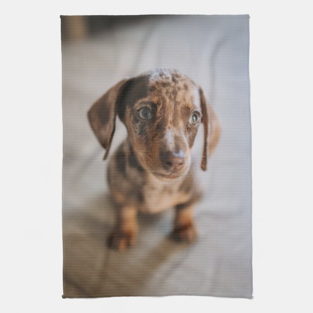 Cutest Baby Animals | Brown Dachshund Puppy Kitchen Towel (Vertical)