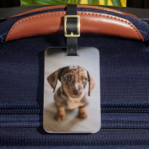 Cutest Baby Animals Brown Dachshund Puppy Luggage Tag