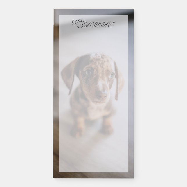Cutest Baby Animals | Brown Dachshund Puppy Magnetic Notepad (Front)