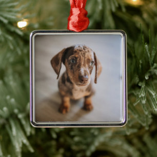 Cutest Baby Animals Brown Dachshund Puppy Metal Ornament
