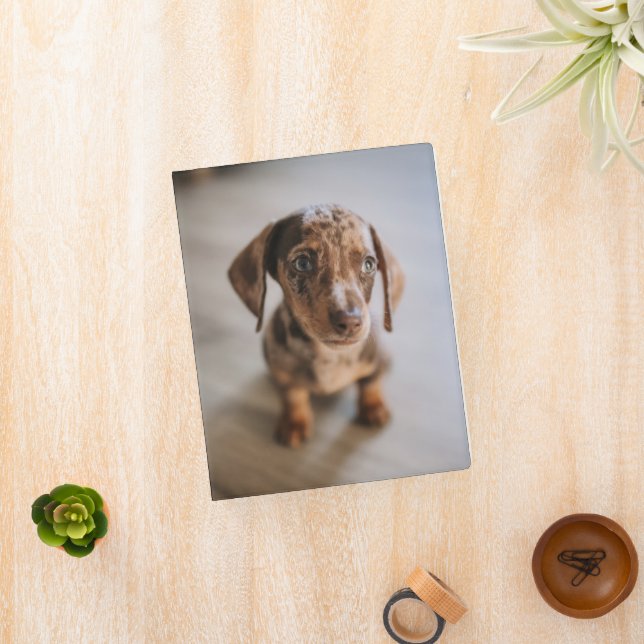 Cutest Baby Animals | Brown Dachshund Puppy Mini Binder (InSitu)