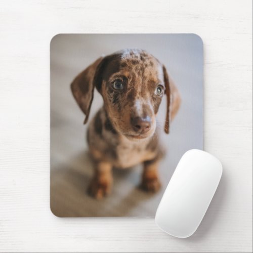 Cutest Baby Animals  Brown Dachshund Puppy Mouse Pad