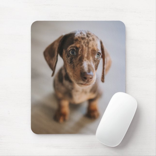 Cutest Baby Animals | Brown Dachshund Puppy Mouse Pad (With Mouse)
