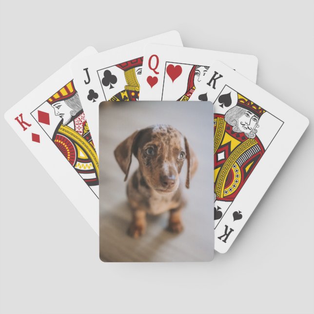 Cutest Baby Animals | Brown Dachshund Puppy Poker Cards (Back)