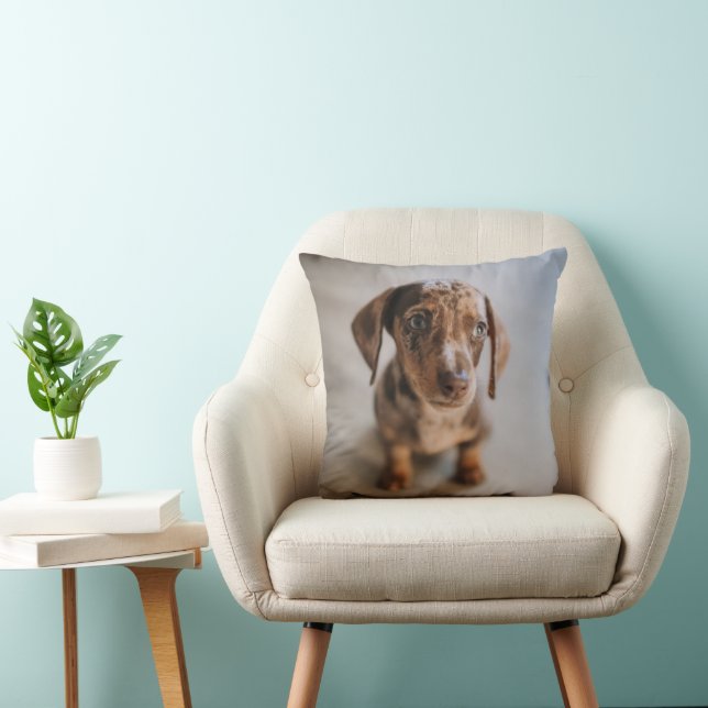 Cutest Baby Animals | Brown Dachshund Puppy Throw Pillow (Chair)