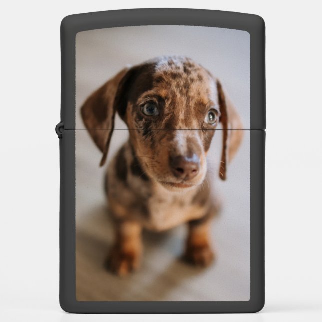 Cutest Baby Animals | Brown Dachshund Puppy Zippo Lighter (Front)
