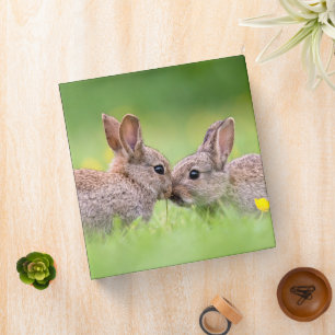 Cutest Baby Animals   Bunny Kiss 3 Ring Binder