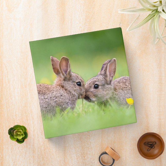 Cutest Baby Animals | Bunny Kiss 3 Ring Binder (In Situ)