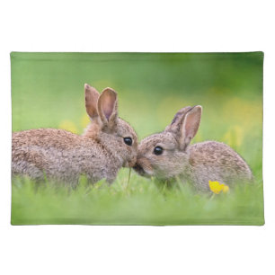 Cutest Baby Animals Bunny Kiss Cloth Placemat