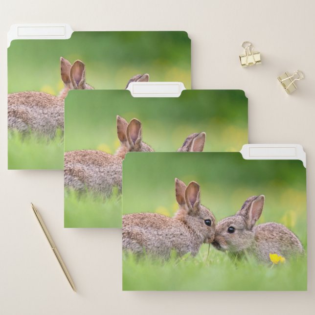 Cutest Baby Animals | Bunny Kiss File Folder (Set)
