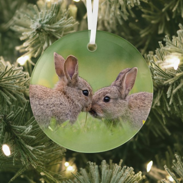 Cutest Baby Animals | Bunny Kiss Glass Ornament (Insitu)