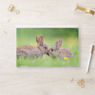 Cutest Baby Animals   Bunny Kiss HP Laptop Skin