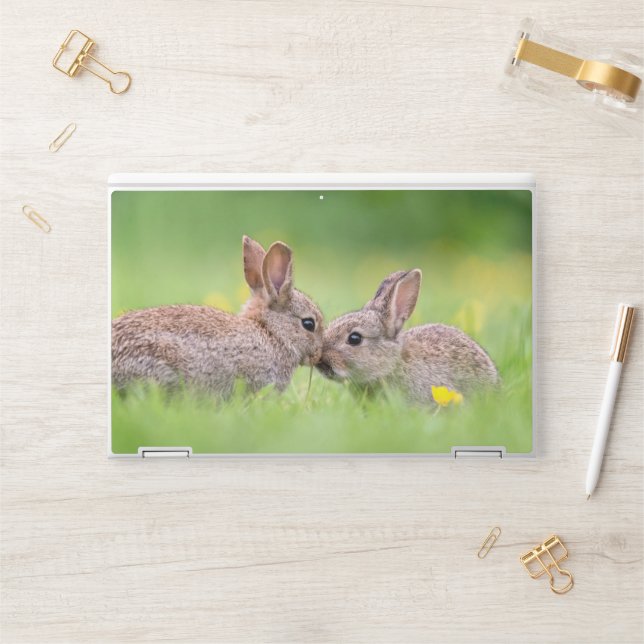 Cutest Baby Animals | Bunny Kiss HP Laptop Skin (Desk)