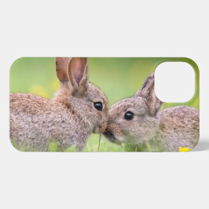 Cutest Baby Animals   Bunny Kiss iPhone 13 Case