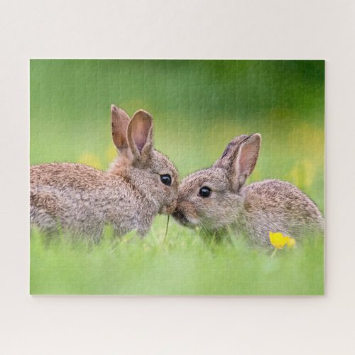 Cutest Baby Animals  Bunny Kiss Jigsaw Puzzle