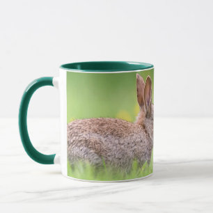 Cutest Baby Animals   Bunny Kiss Mug