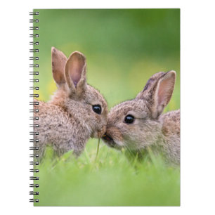 Cutest Baby Animals Bunny Kiss Notebook