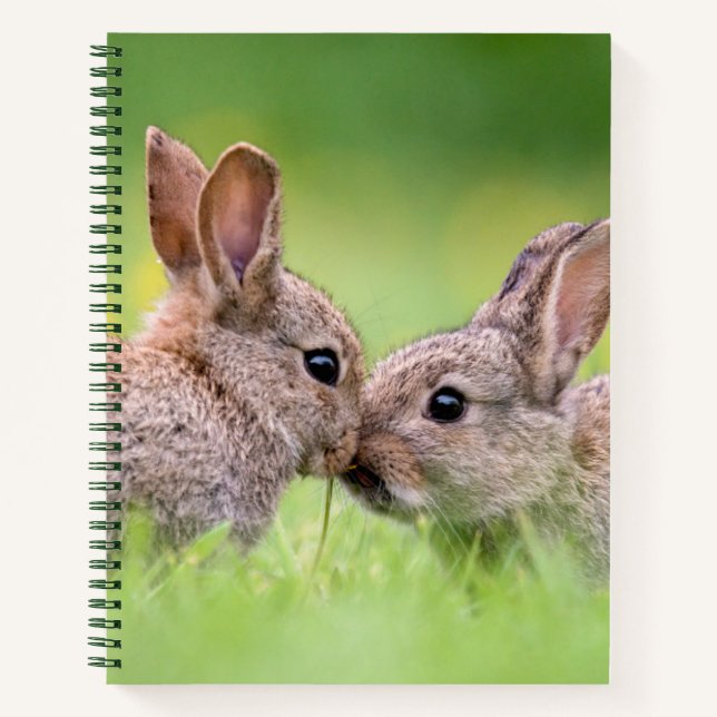 Cutest Baby Animals | Bunny Kiss Notebook (Front)