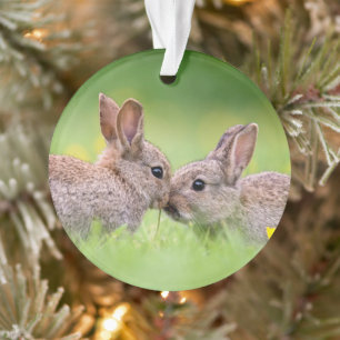 Cutest Baby Animals Bunny Kiss Ornament