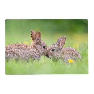Cutest Baby Animals   Bunny Kiss Placemat