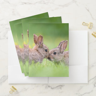 Cutest Baby Animals Bunny Kiss Pocket Folder