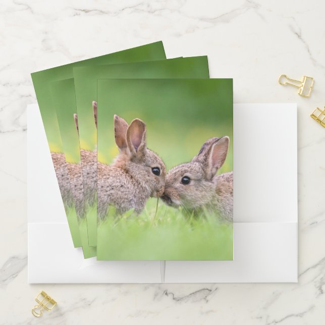 Cutest Baby Animals | Bunny Kiss Pocket Folder (In Situ)