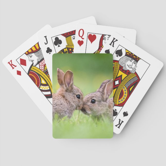 Cutest Baby Animals | Bunny Kiss Poker Cards (Back)