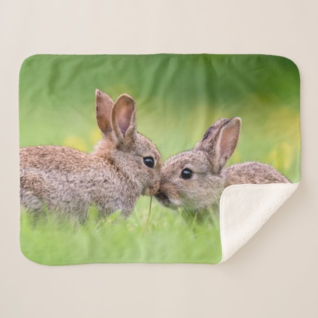Cutest Baby Animals | Bunny Kiss Sherpa Blanket (Front (Horizontal))