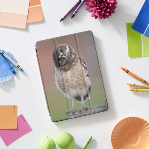 Cutest Baby Animals  Burrowing Owl Owlet iPad Air Cover