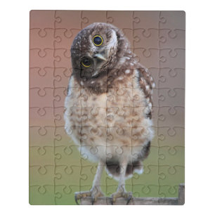 Cutest Baby Animals   Burrowing Owl Owlet Jigsaw Puzzle