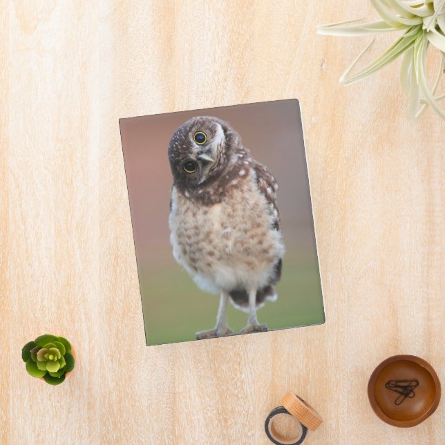 Cutest Baby Animals | Burrowing Owl Owlet Mini Binder (InSitu)