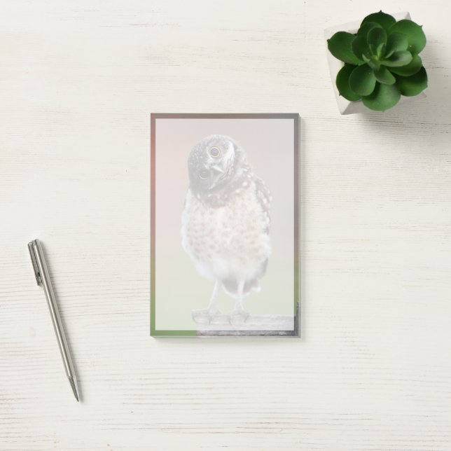 Cutest Baby Animals | Burrowing Owl Owlet Post-it Notes (Office)