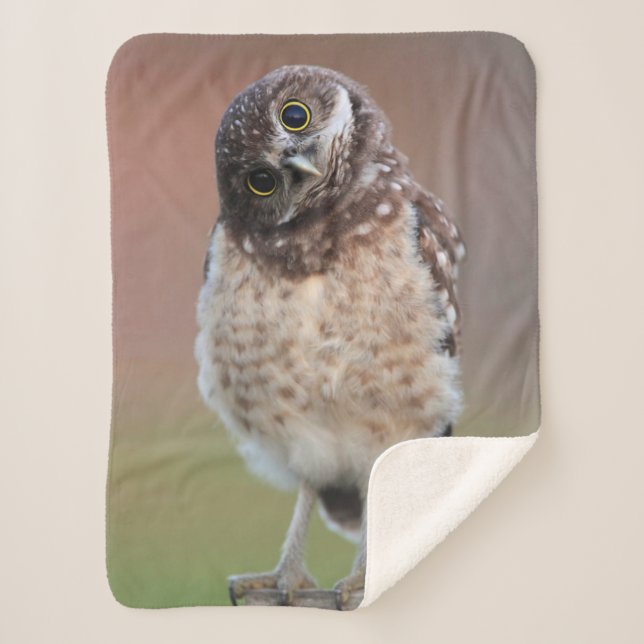 Cutest Baby Animals | Burrowing Owl Owlet Sherpa Blanket (Front)