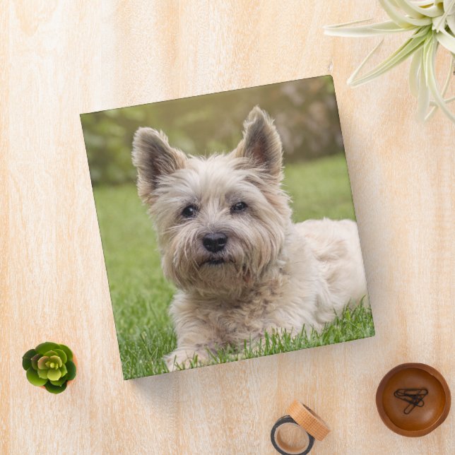 Cutest Baby Animals | Cairn Terrier Dog 3 Ring Binder (In Situ)